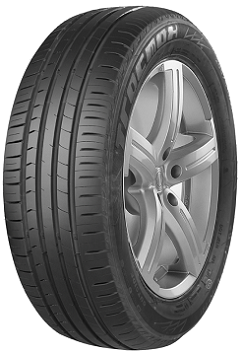 X-PRIVILO TX1 | 205/55/R16 W (91)