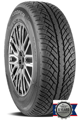 DISCOVERER WINTER | 205/50/R17 V (93)